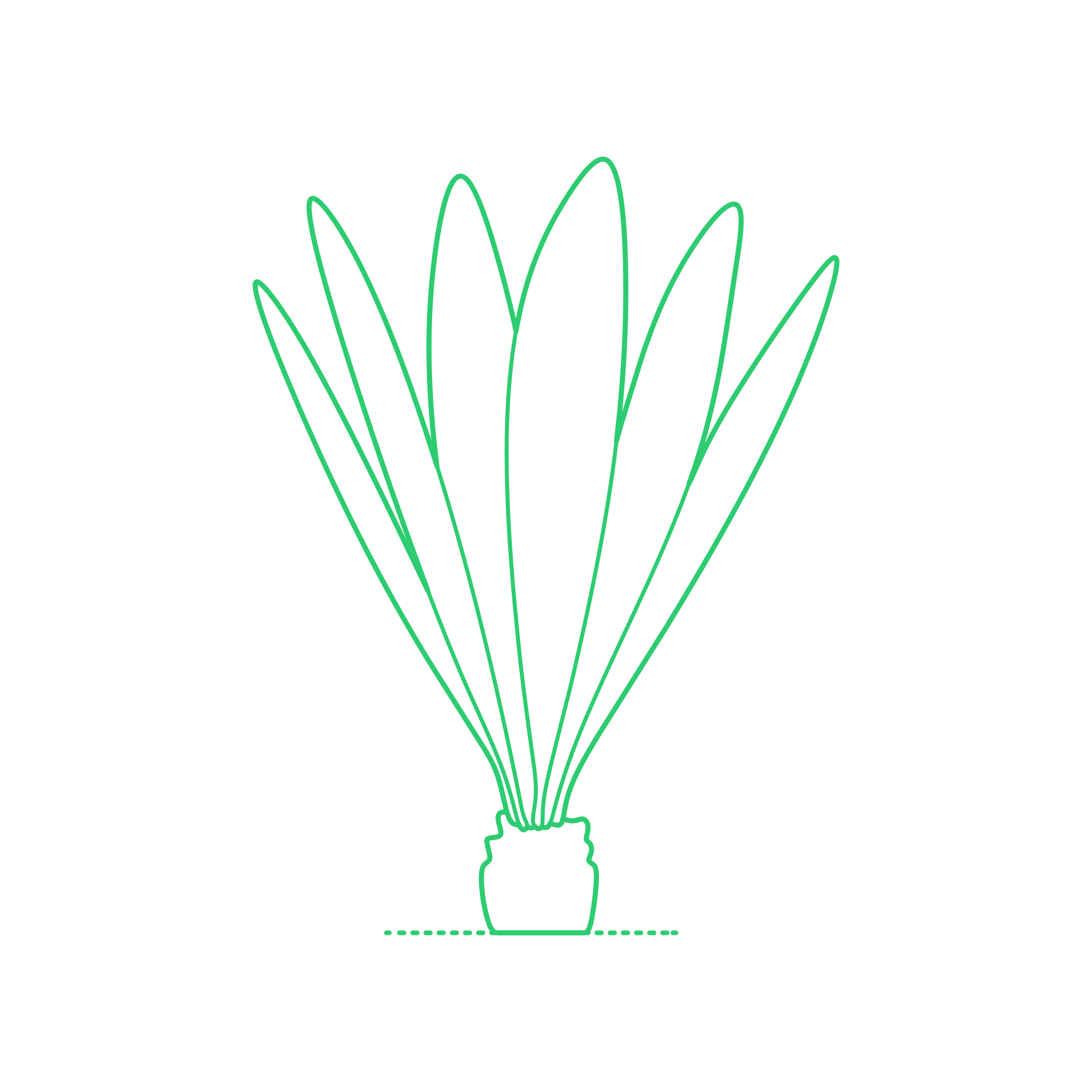 Plants Cycads Teosinte Laser Cut Svg File Free Vectors